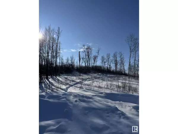 26225 TWP 511 NW, Rural Parkland County, AB T7Y1C6