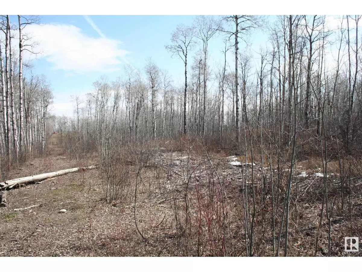 Rural Lac Ste. Anne County, AB T0E1V0,Township Road 553B RRD 34A