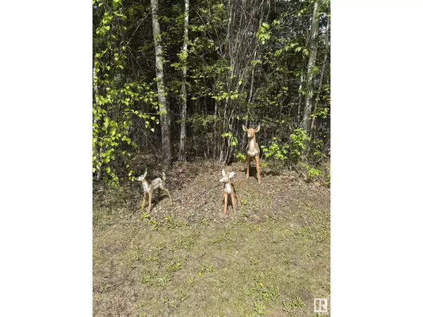 Rural Lac Ste. Anne County, AB T0E0L0,#121 4418 HWY 633