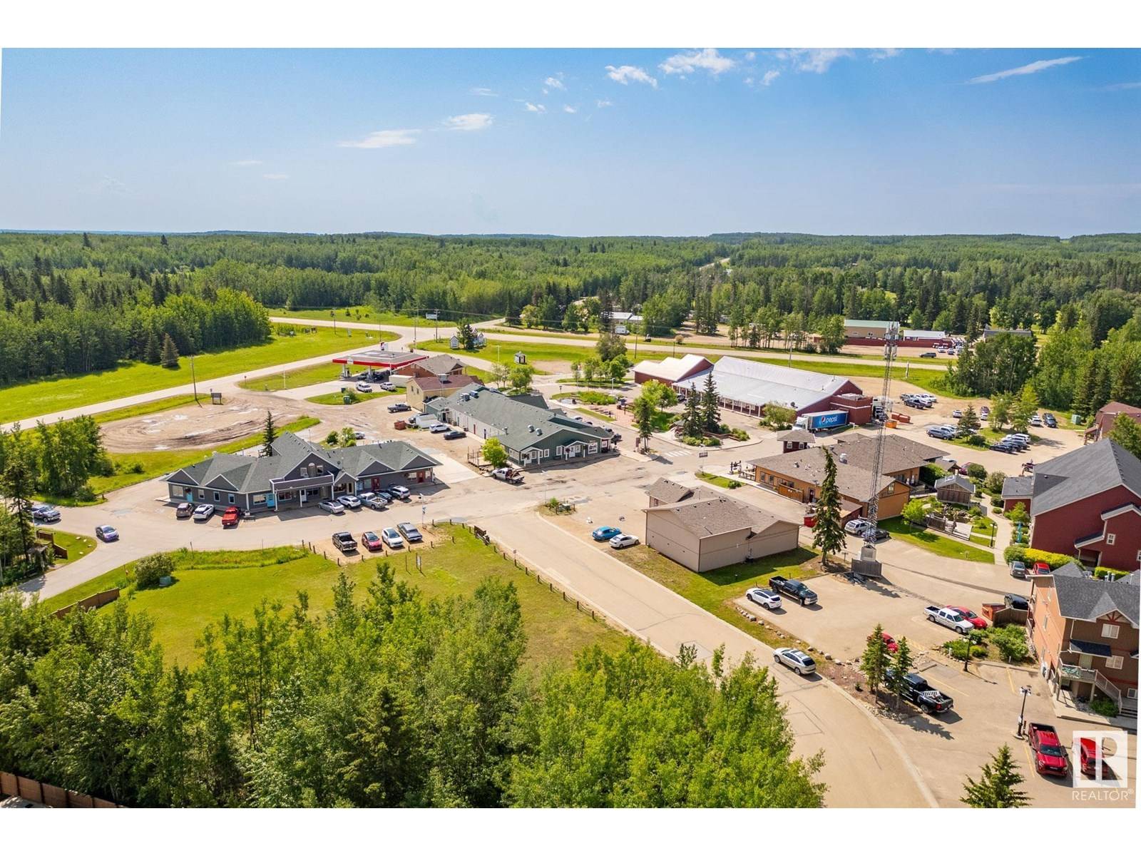 Rural Wetaskiwin County, AB T0C2V0,#139 462054 RGE ROAD 11