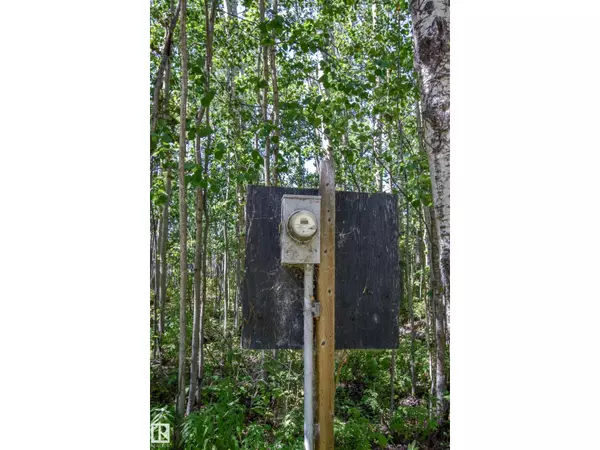 Rural Lac Ste. Anne County, AB T0E0L0,53, 4224 Twp Rd 545