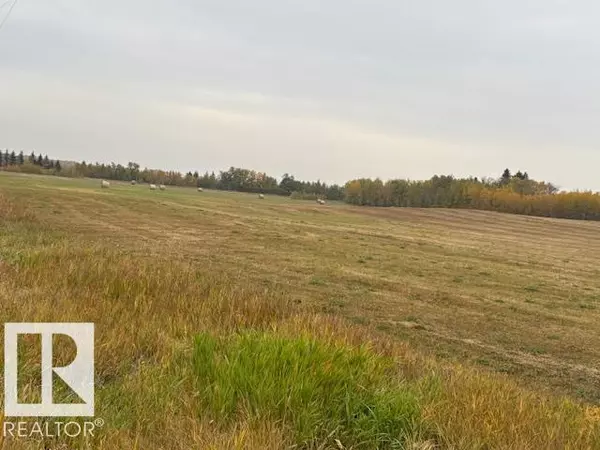 Rural Leduc County, AB T0B3M3,50164 RGE RD 225