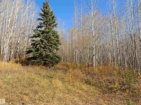 Rural Wetaskiwin County, AB T0C2V0,TWP 463A RD