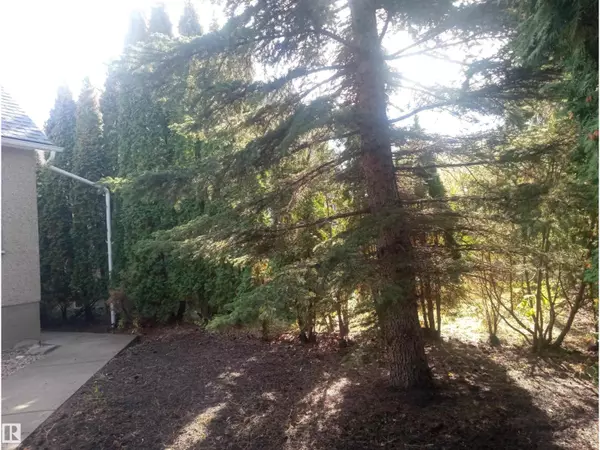 Edmonton, AB T5G1K8,11235 95 ST NW NW