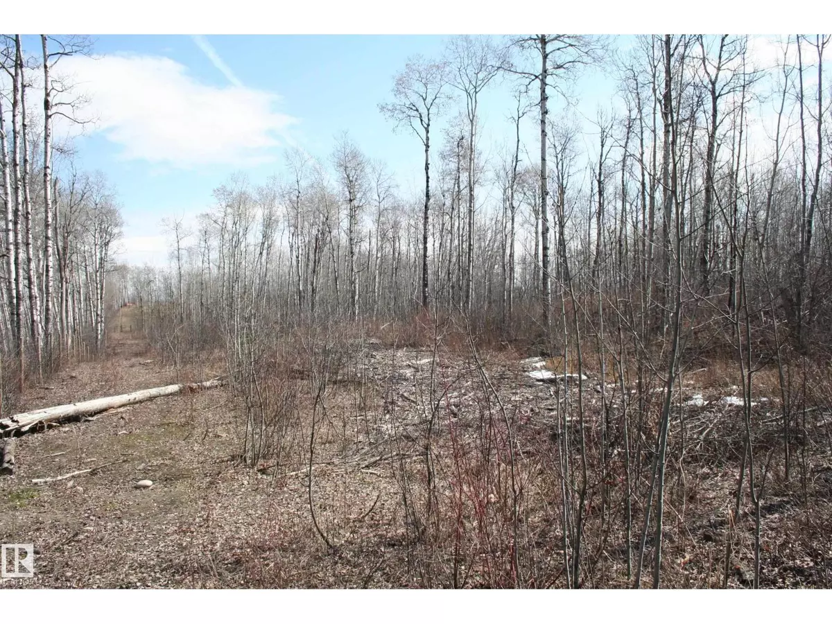 Rural Lac Ste. Anne County, AB T0E1V0,Township Road 553B RRD 34A