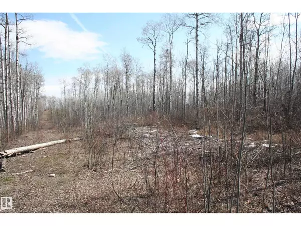 Township Road 553B RRD 34A, Rural Lac Ste. Anne County, AB T0E1V0