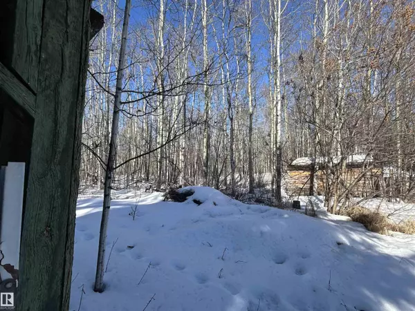 Rural Leduc County, AB T0C2P0,1330 MISSION BEACH