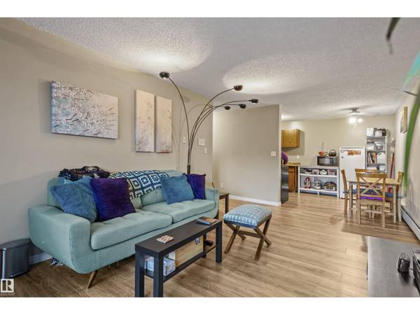 #202 11040 82 ST NW, Edmonton, AB T5H1L9