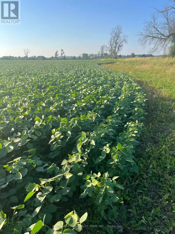 Essa, ON L0L2N2,5944 10TH LINE