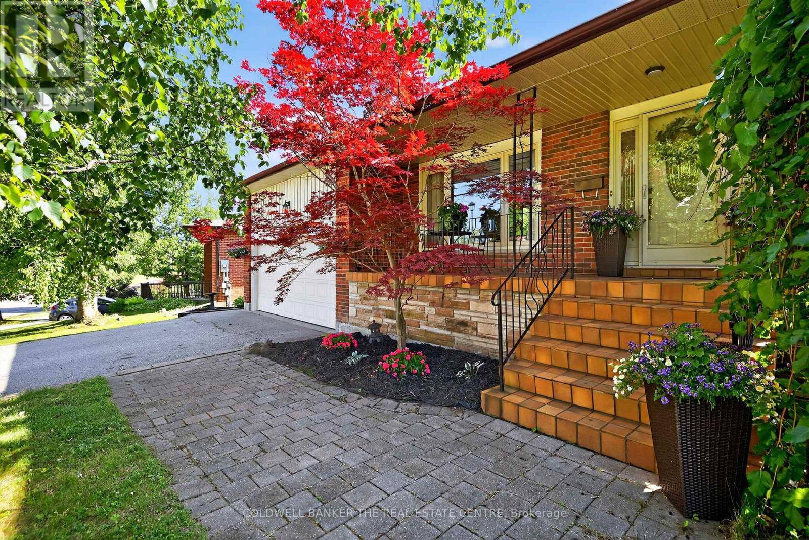 Newmarket (gorham-college Manor), ON L3Y5P1,204 ALEXANDER ROAD