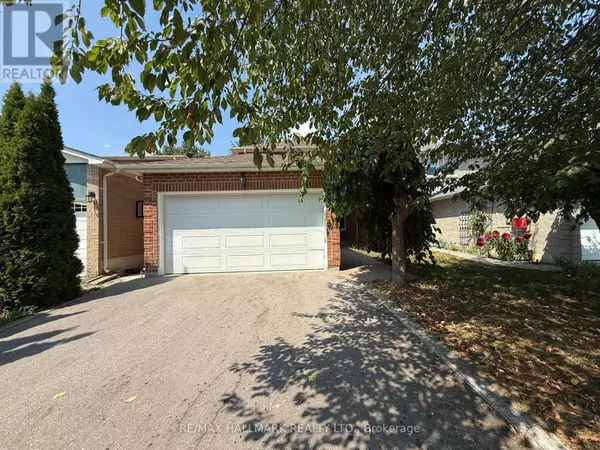 60 Lund ST #Basement, Richmond Hill (north Richvale), ON L4C5V7