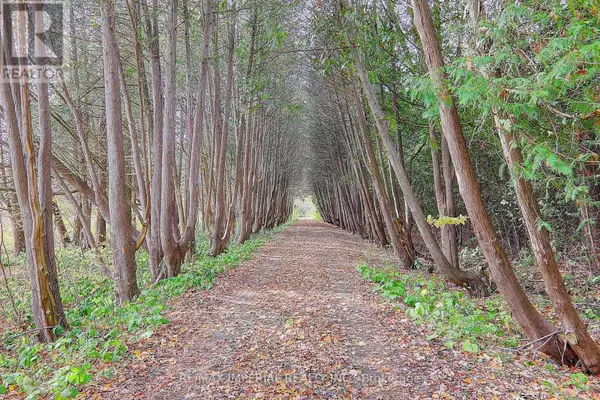 Whitchurch-stouffville, ON L4A7X5,13231 KENNEDY ROAD