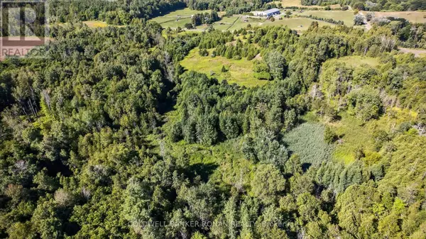 King (schomberg), ON L0G1T0,8155 19TH SIDE ROAD