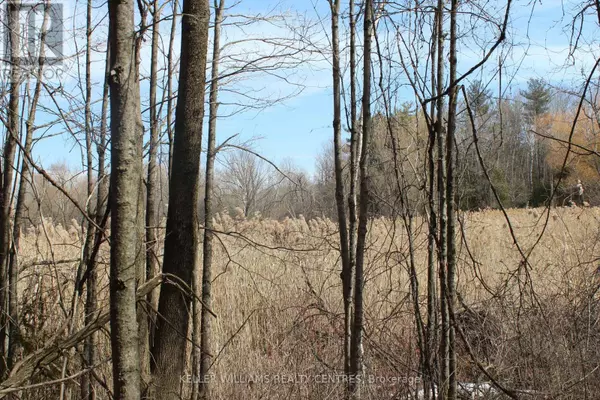 Uxbridge, ON L9P0H2,TBA CONCESSION RD 2