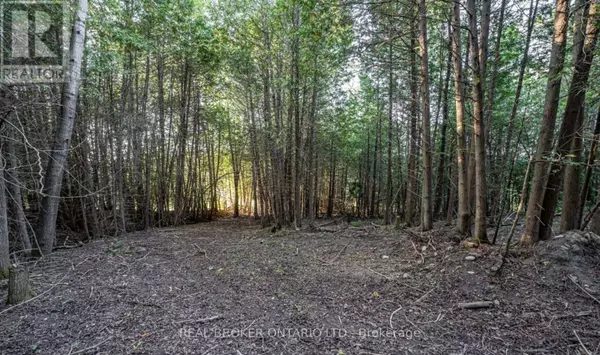 Essa, ON L0L1N0,5703 10TH SIDE ROAD