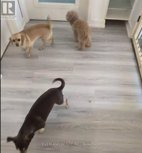 Markham (unionville), ON L3R2E5,33 MAIN STREET