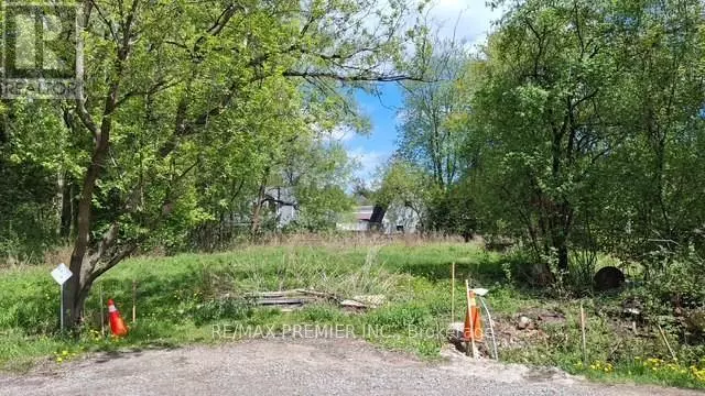 Richmond Hill (oak Ridges Lake Wilcox), ON L4E3C2,0 FERGUS AVENUE