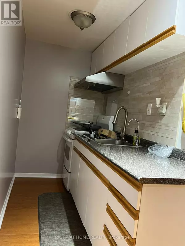 Markham (old Markham Village), ON L3P2T2,12 Albert ST #basement