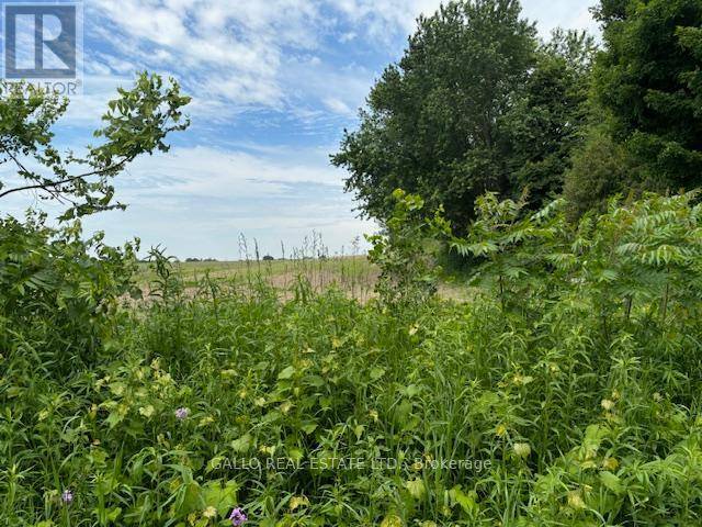 Uxbridge, ON L4A7X4,N/A CONCESSION 2