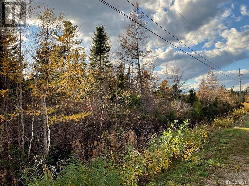 Tracadie, NB E1X1C6,Lot des Prés