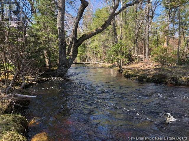 Black River Bridge, NB E1N5S7,-- Wells Brook Road