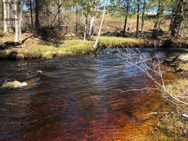 Black River Bridge, NB E1N5S7,-- Wells Brook Road