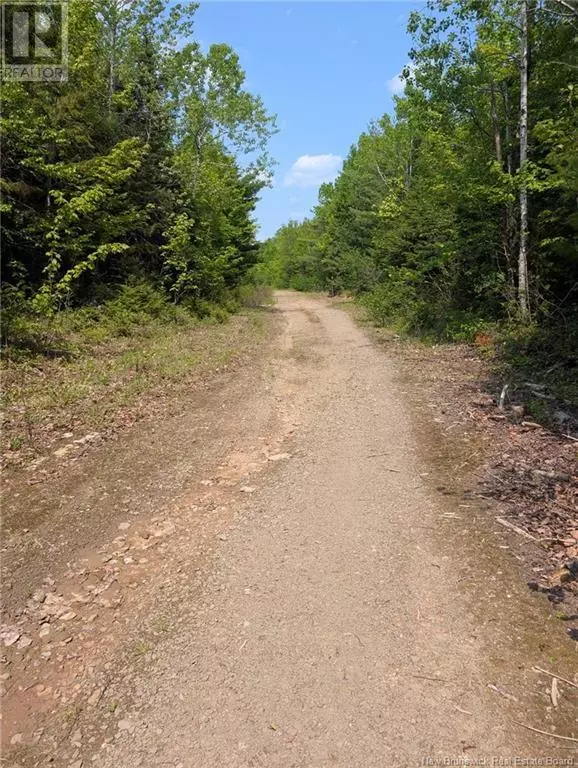 Saint-wilfred, NB E9G2T9,94.1 acres Rte 450