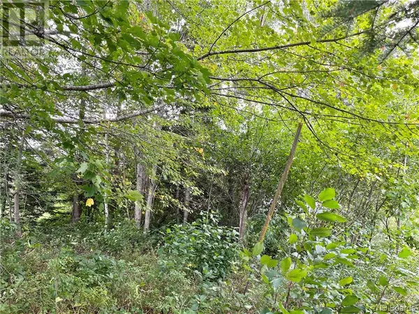 Miramichi, NB E1N5W1,2 acres Craigville Road