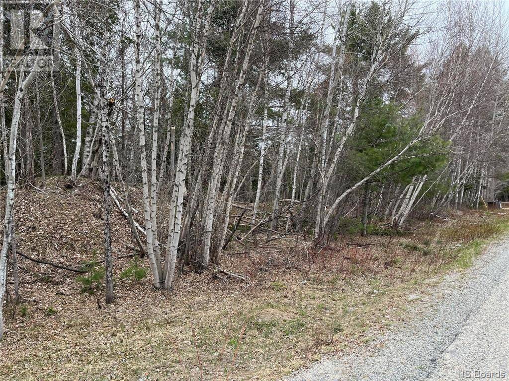 Renous, NB E9E2C3,1.5 acres Hambrook Road