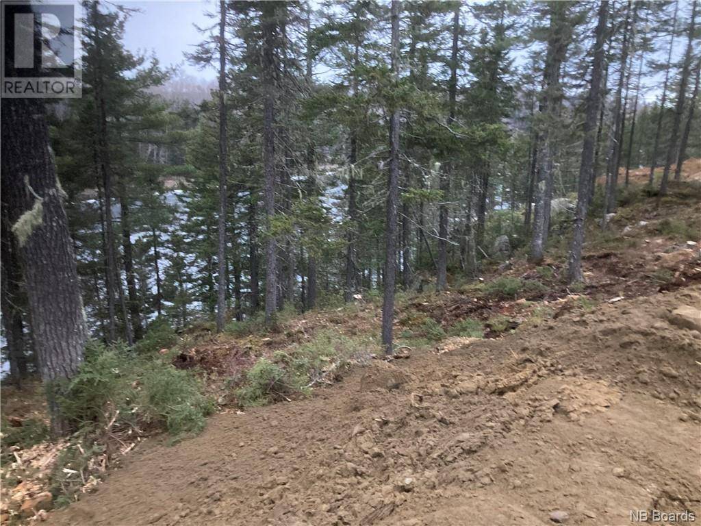 Nepisiguit Falls, NB E2A4Y7,Lot 2016-9 Portage Road