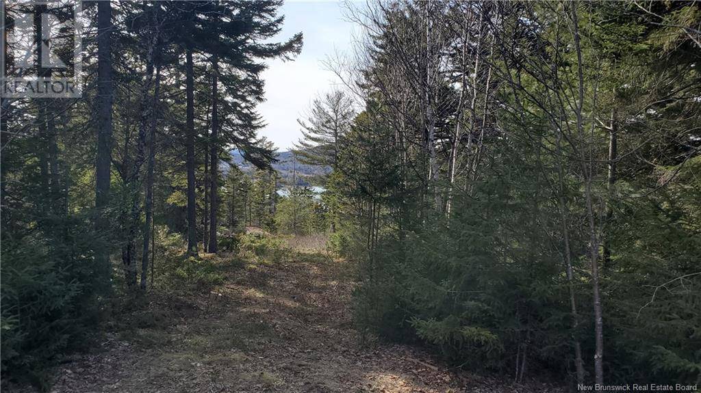 Chamcook, NB E5B0A8,Lot 13 Eagles Passage