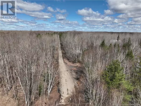 Miramichi, NB E1V5Y1,LOT MCKINNON Road