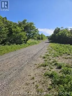 Saint John, NB E2J3E9,Dolly Drive