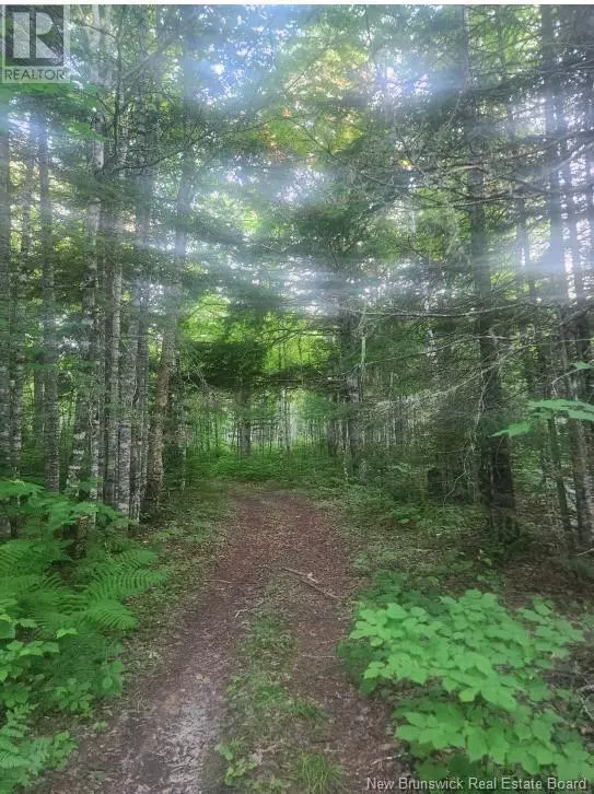 Bettsburg, NB E9C1L1,37.8 Hec Bettsburg Road