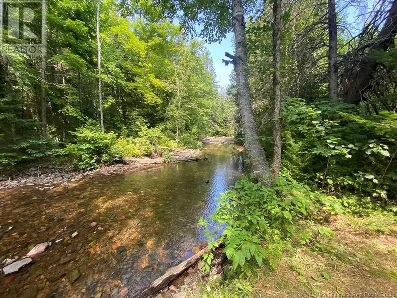 Land Archibald Road, Belledune, NB E8G1W5