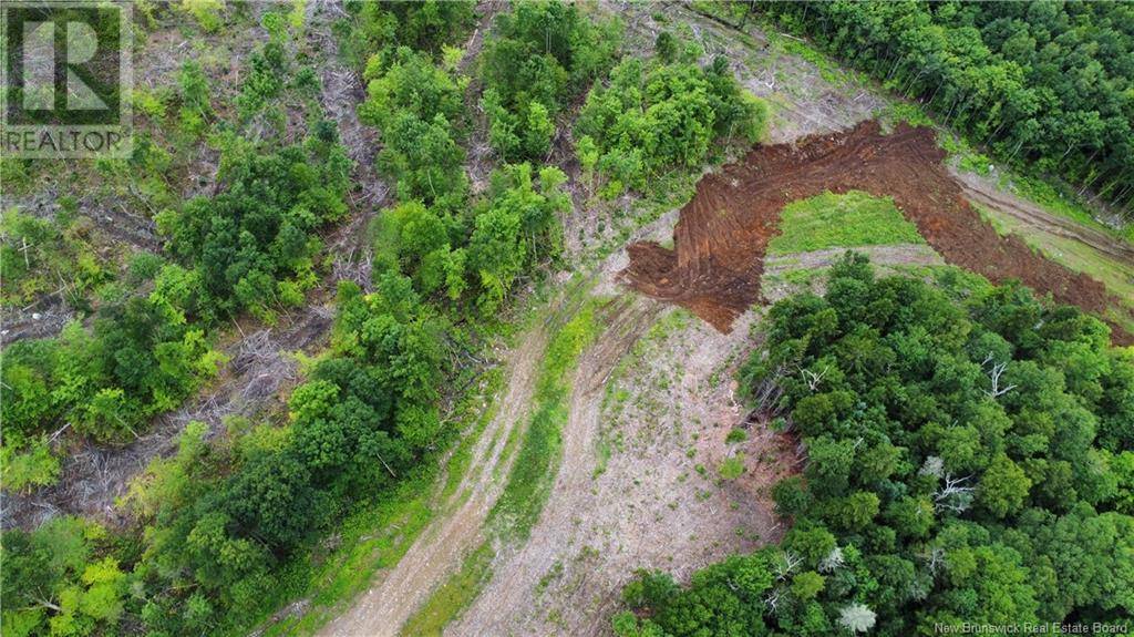 Central Hainesville, NB E6E1E3,Lot 21 Crabbe Mountain