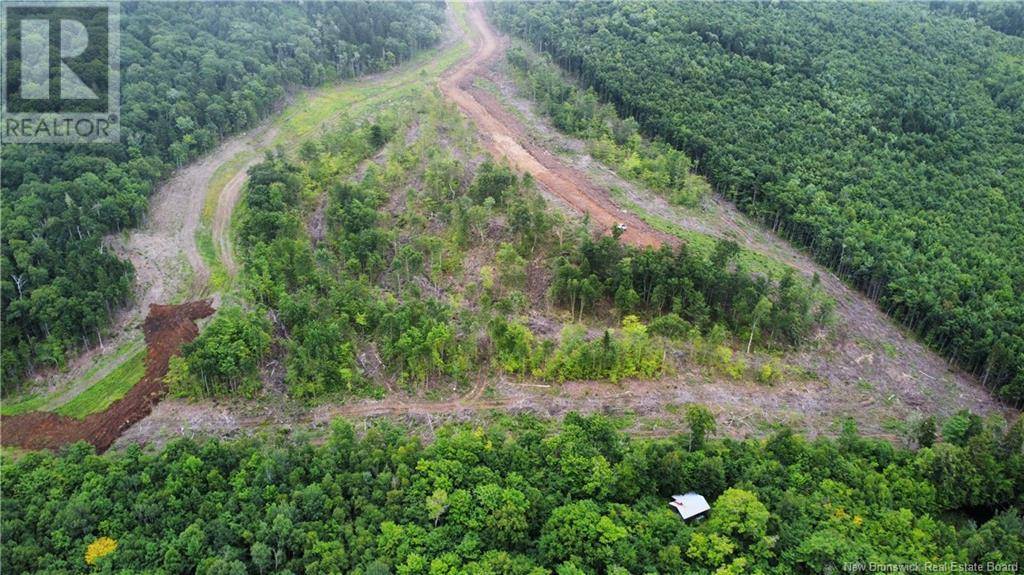 Central Hainesville, NB E6E1E3,Lot 17 Crabbe Mountain