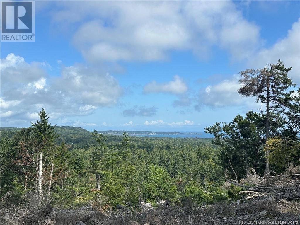 Grand Manan Island, NB E5G1E5,Lot 1 Hill Road