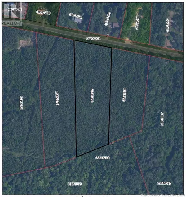 Shenstone, NB E4H4G5,Lot Route 910