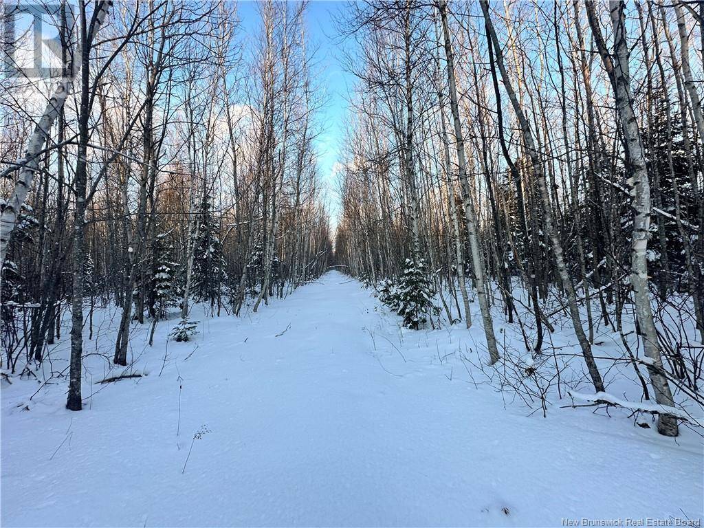 Lot Mclean Settlement, Saint-paul, NB E4T3S1