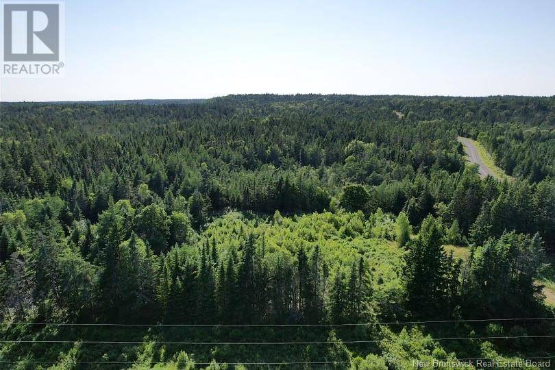 Grand Manan, NB E5G1C6,Dark Harbour Road