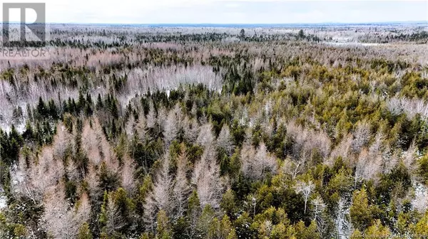 Andersonville, NB E5A1C8,395 Route 630