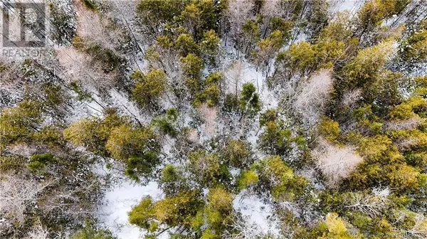 Andersonville, NB E5A1C8,395 Route 630