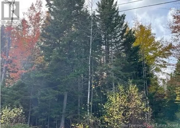 Lower Coverdale, NB E1J0B6,24-700 Stanley Street