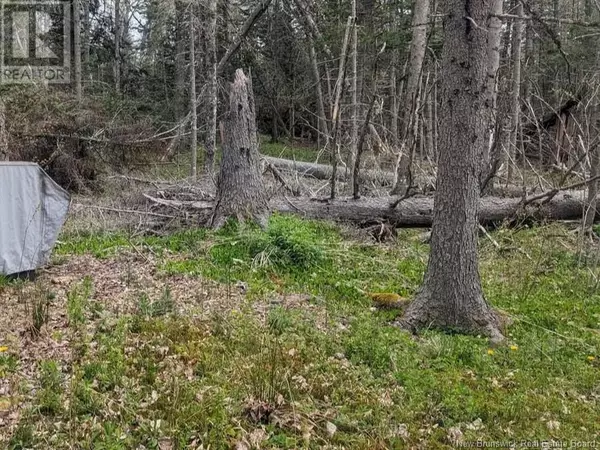 Botsford, NB E4M2W7,Lot Upper Cape Road