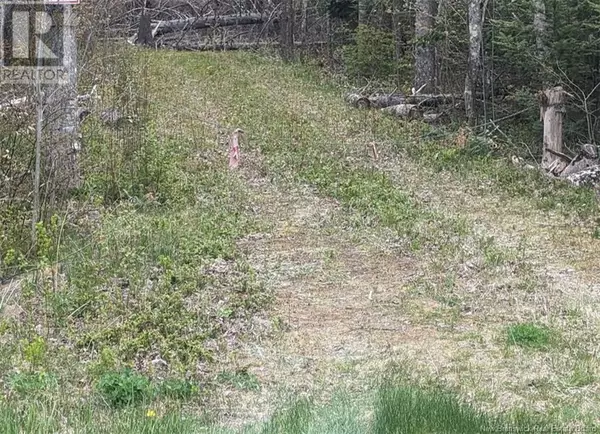 Botsford, NB E4M2W7,Lot Upper Cape Road