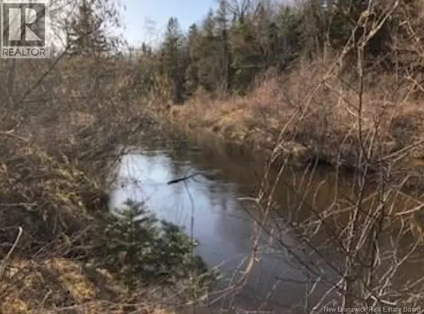 South Branch, NB E4W3L9,Lot 3 Shortall Road