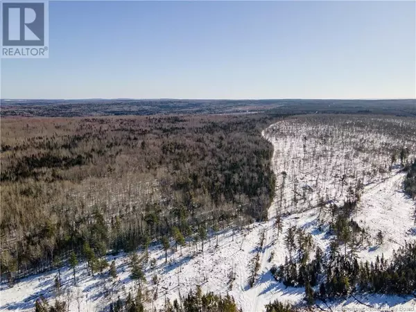 Salmon Creek, NB E4C1Y7,Lot Annindale Ridge Road