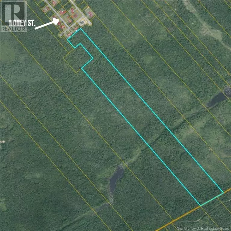 Miramichi, NB E1N3N6,Honey Street