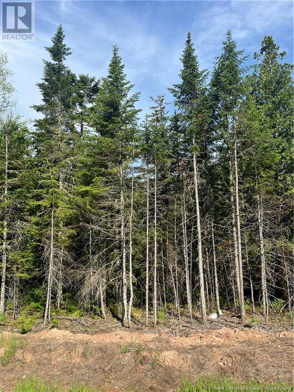 Lakeside, NB E5N7K6,Cedarwood Drive